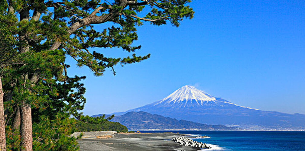 静岡の風俗出稼ぎ